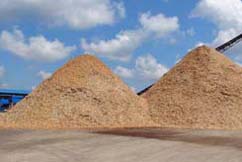 Timber Harvesting and Production